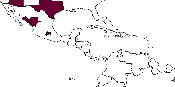 map of Apenesia chiricahua     Evans, 1963